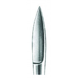 MS- 01-1016-12