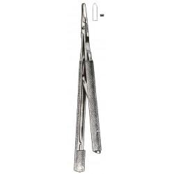 MS- 01-1037-13