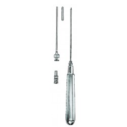 MS- 03-1256-19
