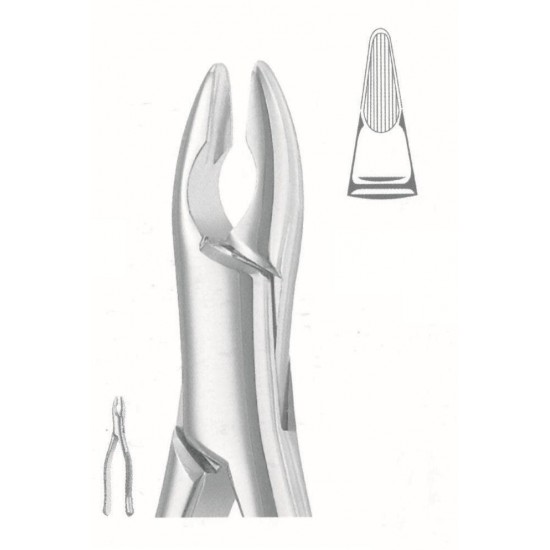 MS-50-1037