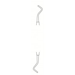 MS-55-1516
