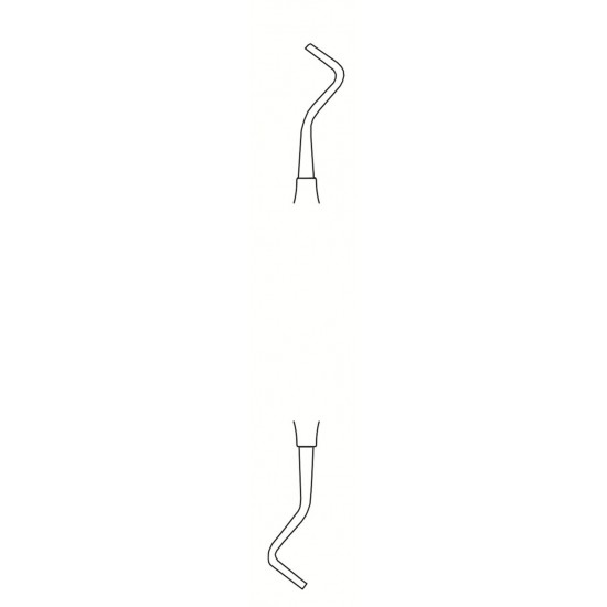 MS-55-1516