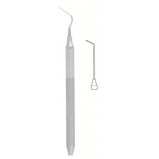 MS-56-1555