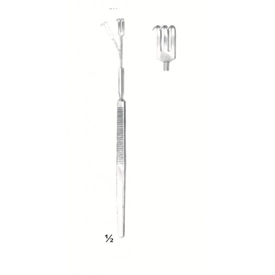 MS-69-3013