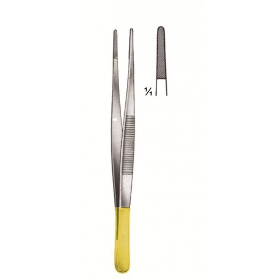 MS-75-3868 TC
