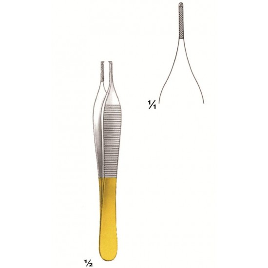 MS-75-3870 TC