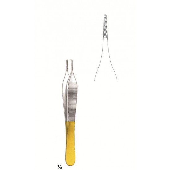 MS-75-3871 TC