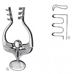 MS- 16-4598-10